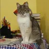 Отзыв от Анжела Кочеткова